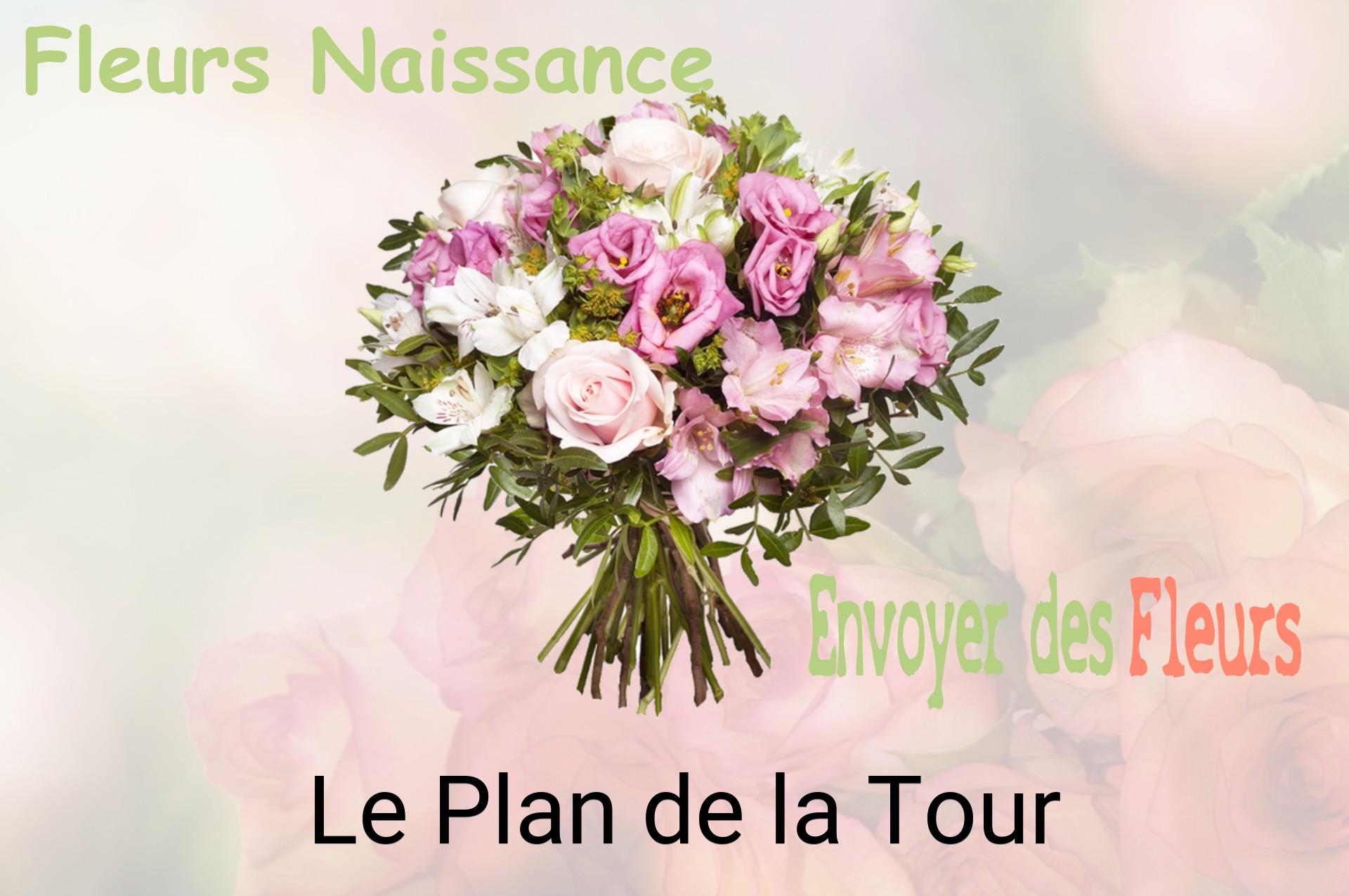 Bouquet de fleurs de naissance livré à Le Plan-de-la-Tour