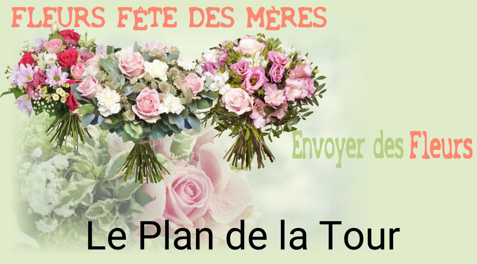 Bouquet de Fête des Mères livré à Le Plan-de-la-Tour
